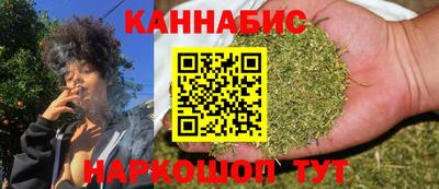 твердый Кингисепп