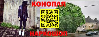 твердый Кингисепп
