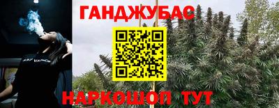 прущие крисы Кимры