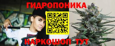 прущие крисы Кимры