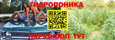 твердый Кингисепп