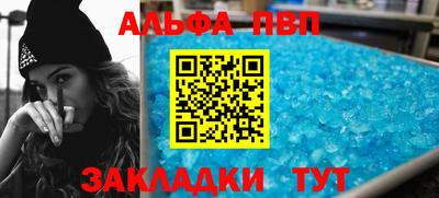 твердый Кингисепп