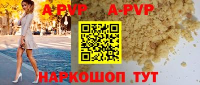 твердый Кингисепп