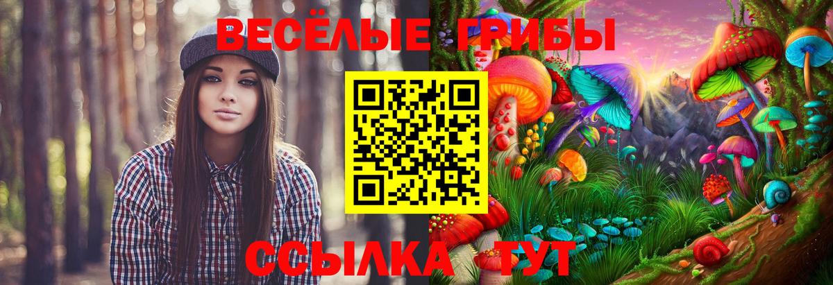 Галлюциногенные грибы Cubensis  Вход с VPN  Красноармейск 